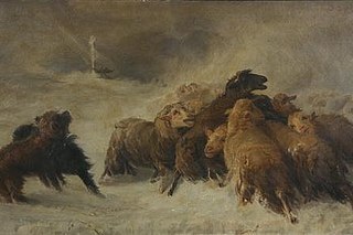 Август Фридрих Альбрехт Шенк и его овечки. Август Фридрих Альбрехт Шенк и его овечки.