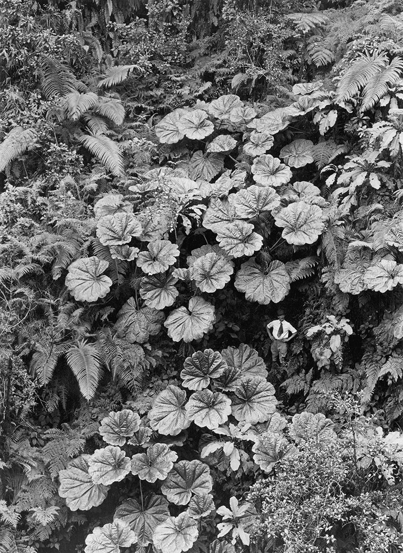 24.            . , 1924 national geographic, , , 