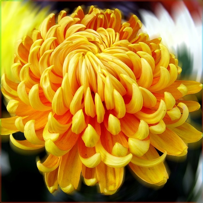 http://img1.liveinternet.ru/images/attach/c/1//48/831/48831535_0_1d0ac_dbf392ee_XL1.jpg