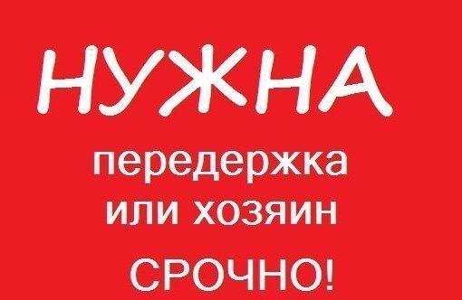 Эти фотографии говорят без слов... Умоляем, просим вас о помощи!