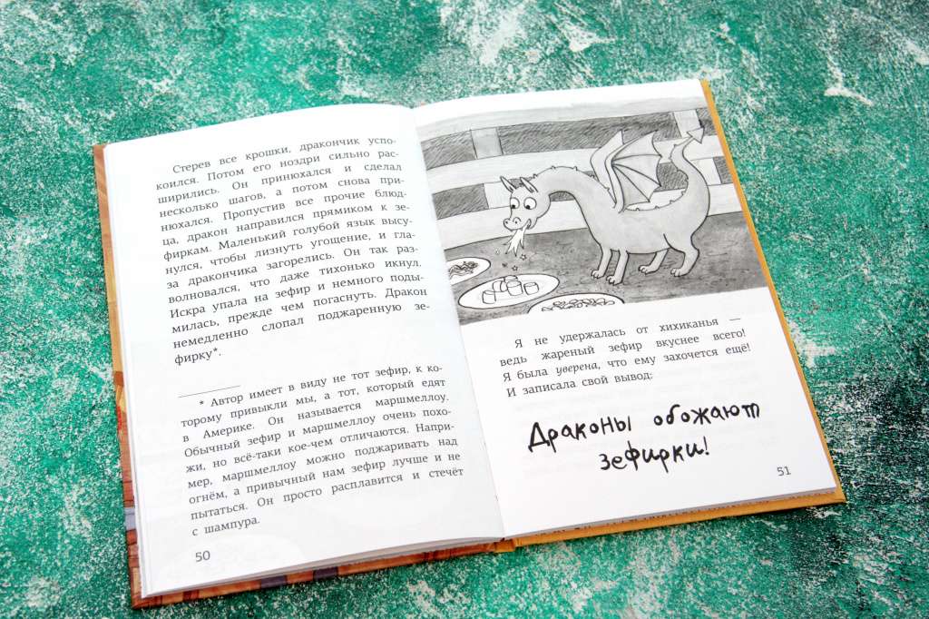 Отрывок из книги «Драконы и зефирки»