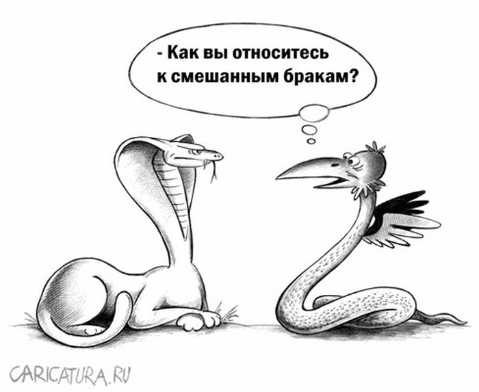 Карикатуры от Сергея Корсуна Карикатуры от Сергея Корсуна