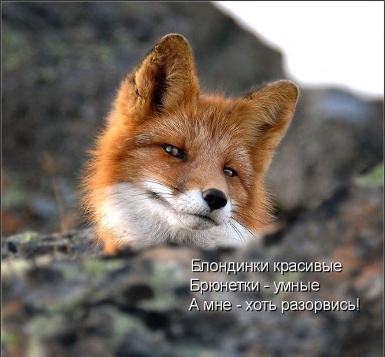 Для хорошего настроения 4