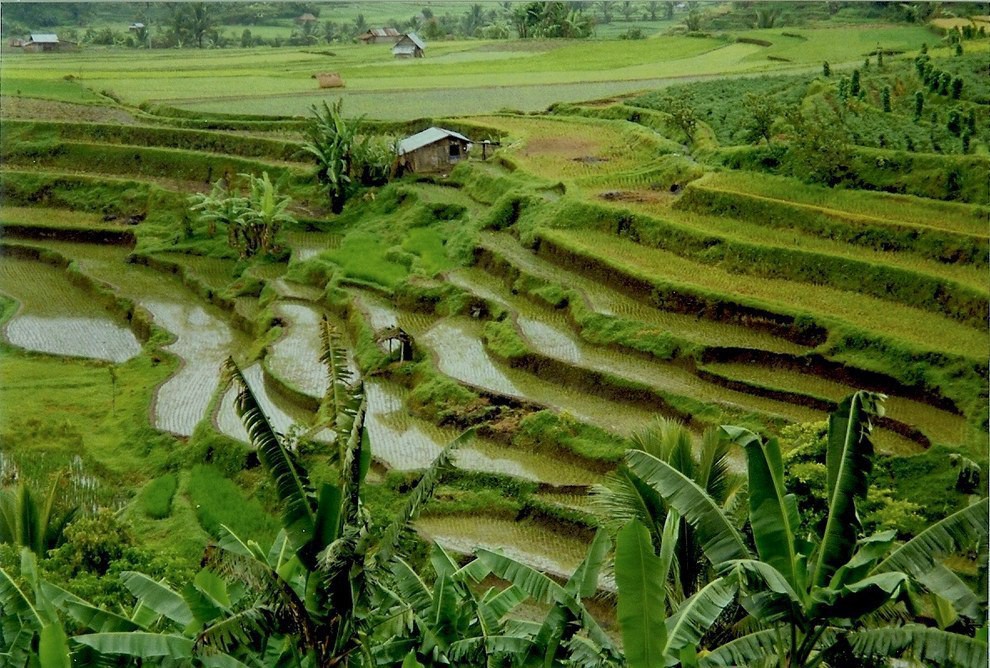 3. Рисовые поля народа минангкабау в Западной Суматре напомнят о древней цивилизации индонезия, красота, места, пейзаж, путешествия