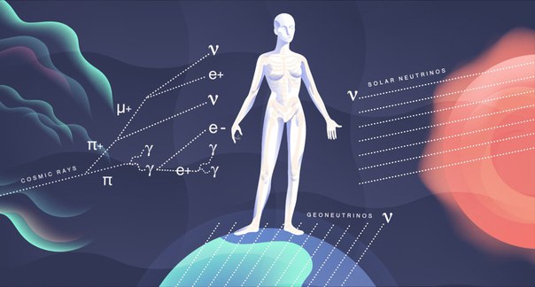 Физика элементарных частиц вашего тела