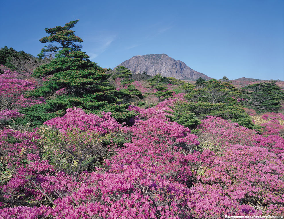 Остров Чеджу-до, Республика Корея