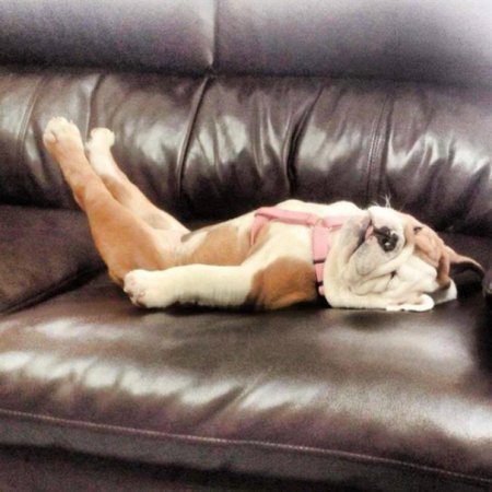 Милота уснула Милота уснула