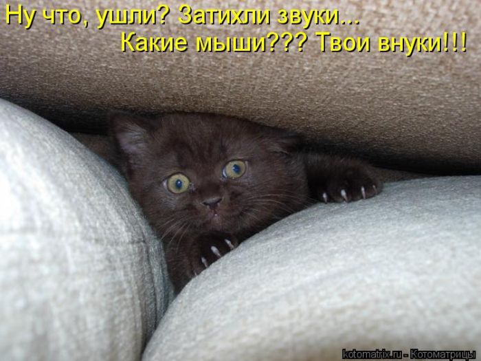 Котоматрицы великолепные, каждая с кусочком тепла, позитива и улыбкой! Котоматрицы великолепные, каждая с кусочком тепла, позитива и улыбкой!