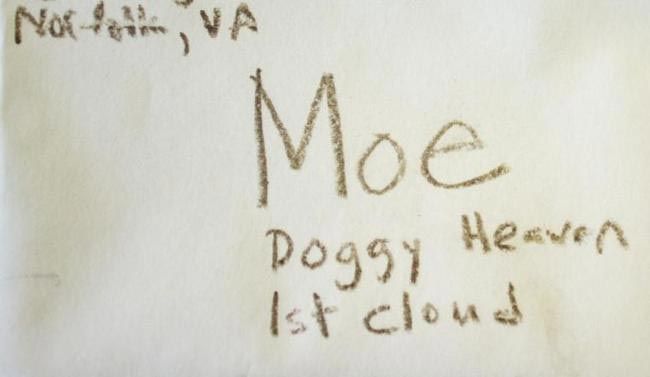 3-летний мальчик написал письмо собака, мальчик получил ответ от умершей собаки