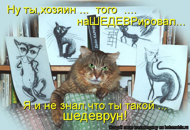 Пятничная котоматрица! Пятничная котоматрица!