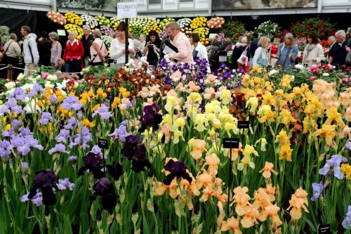 Цветочная выставка Chelsea Flower Show 2014 (24 фото)