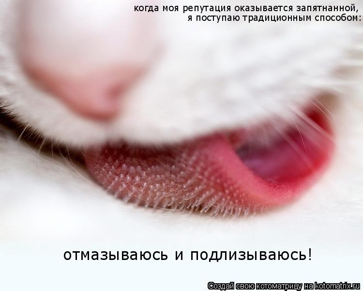 Ура!! Пятница - котоматрица!!! Ура!! Пятница - котоматрица!!!