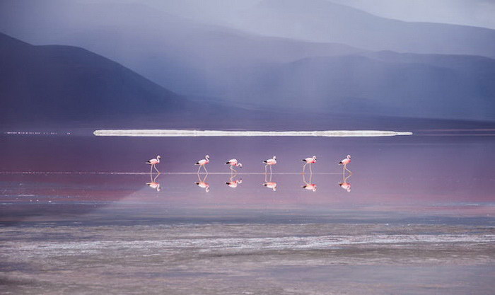 Боливия в фотографиях Antony Harrison