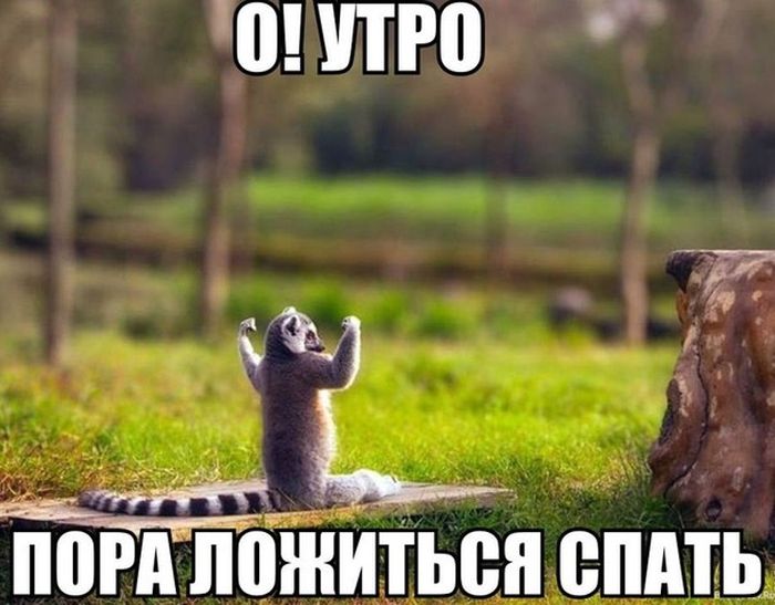 Поднимаем настроение. О разном... Поднимаем настроение. О разном...