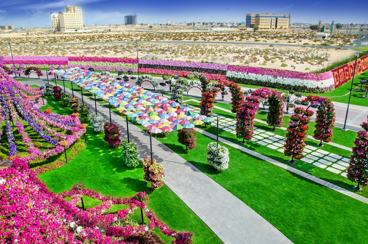 Фантастический  цветочный парк  Дубая Dubai Miracle Garden