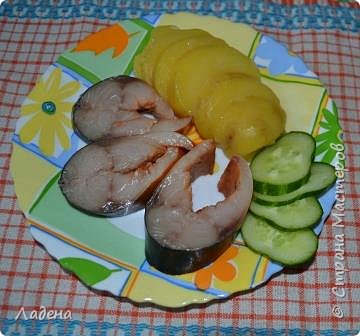 Кулинария Мастер-класс Рецепт кулинарный Улётная Скумбрия без жидкого дыма и прочих трудностей Продукты пищевые фото 1