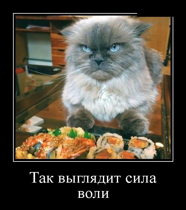 Демотиваторы Демотиваторы