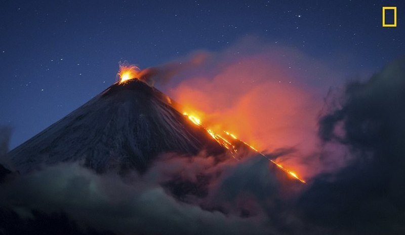 Фотоконкурс National Geographic "Фотограф года": лучшие в мире снимки живой природы National Geographic Nature, животные, звери, красота, птицы, творчество, фотографии, фотоконкурс