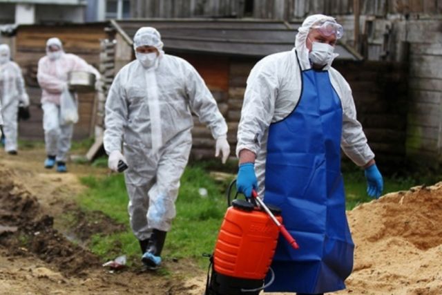 Роспотребнадзор проверяет сведения о вспышке чумы в Донецкой области