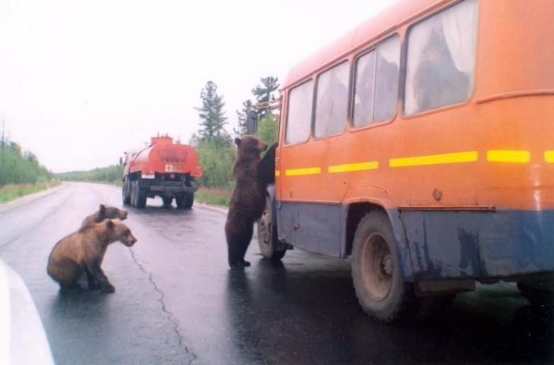 Такое может быть только в России. Очень смешно!