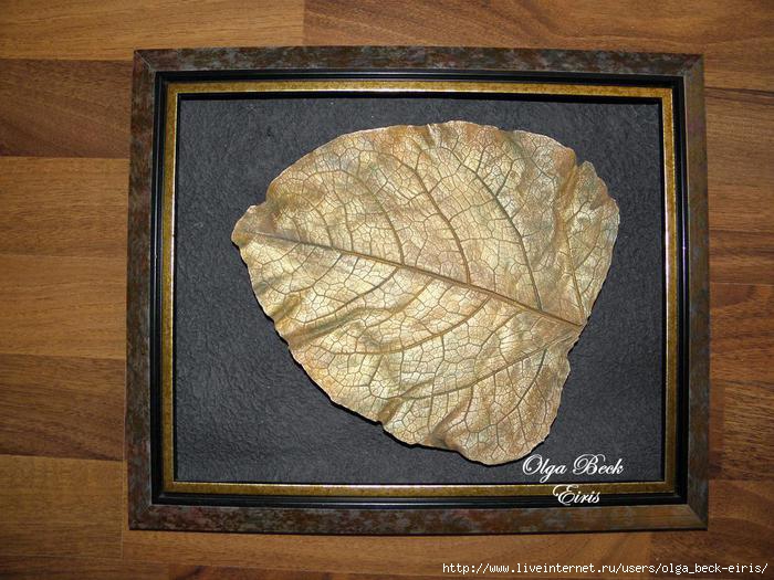 4836214_P6030999__77m (700x525, 212Kb)