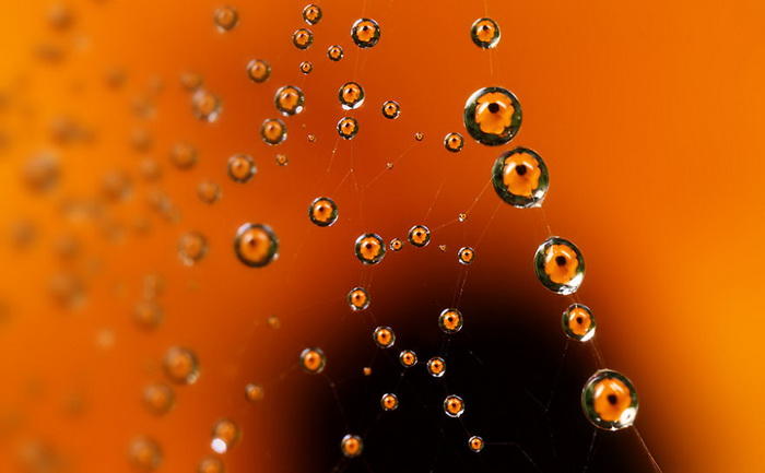 ��������������� John Cogan