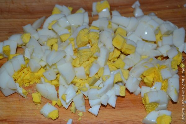 ������ ������ � �������