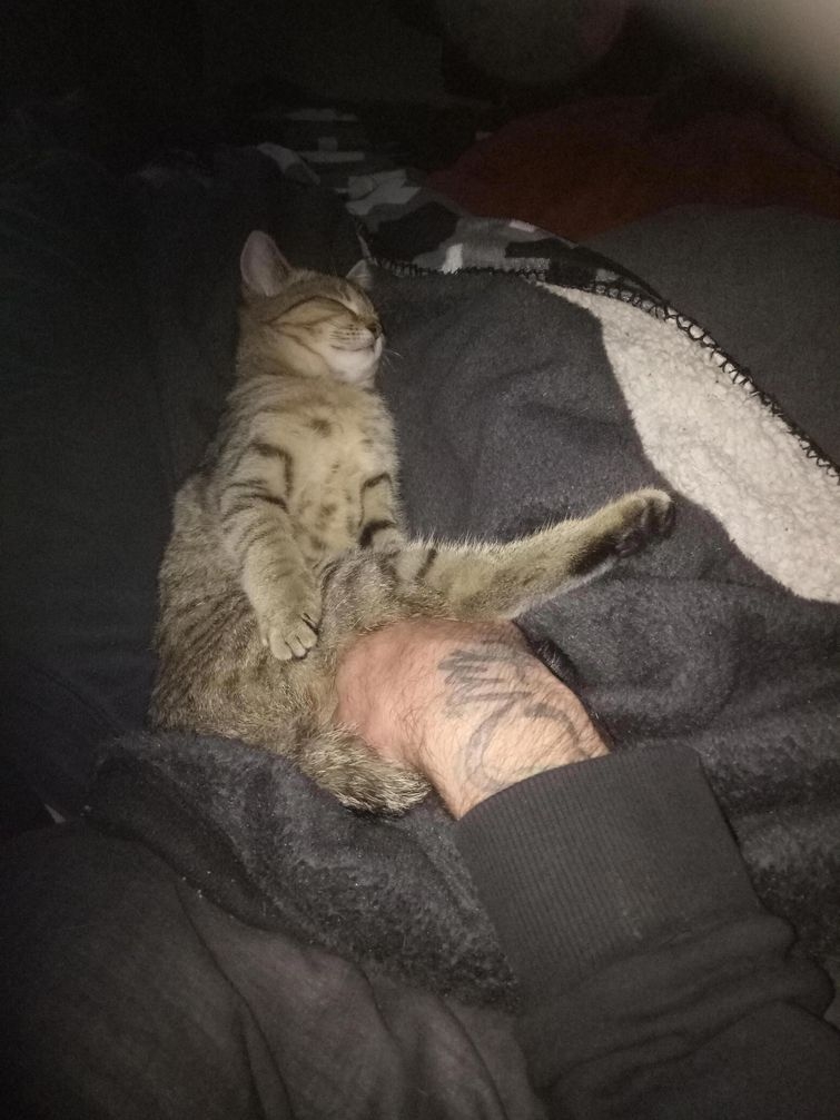 20 оптических иллюзий, которые кажутся совсем не тем, чем они являются на самом деле оптические иллюзии, оптические иллюзии ракурс, оптические иллюзии перспектива