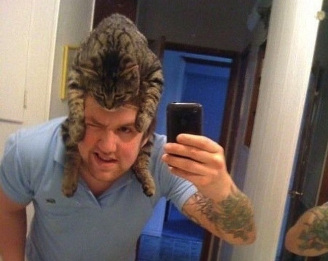 Самая модная шапка – это шапка из кошки