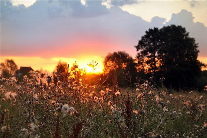 Природа России в фотографиях Игоря Денисова Природа России в фотографиях Игоря Денисова