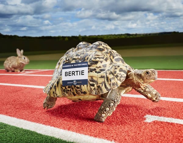 Рекорды животных (10 фото)