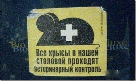 Смешные надписи и объявления надписи, объявления, смешные, юмор