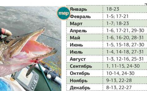 будет ли сегодня клевать рыба луна календарь будет ли сегодня клевать рыба луна календарь
