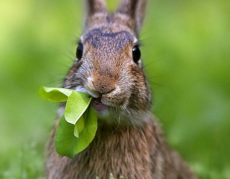 NewPix.ru - ������������ ���������� ��������