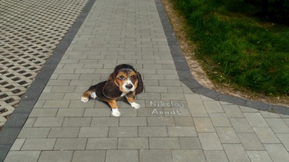 3D Street Art Николая Арндта