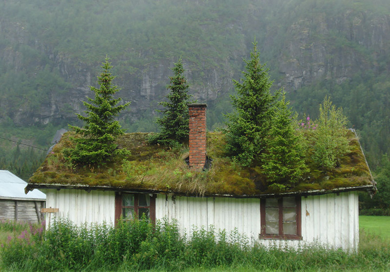 12. Норвежский домик архитектура, норвегия