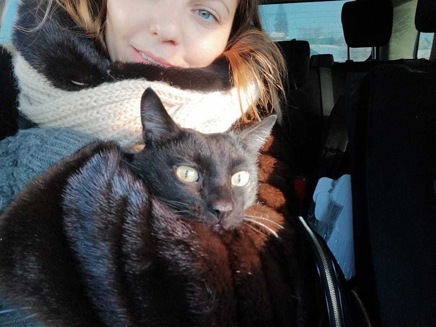 кот потерялся девушка с котом