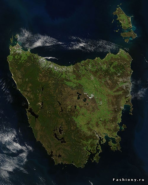 гугл наглядно демонстрирует количество зелени на острове