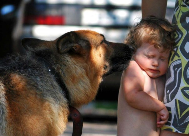 Коллекция позитивных фотографий №12 Коллекция позитивных фотографий №12