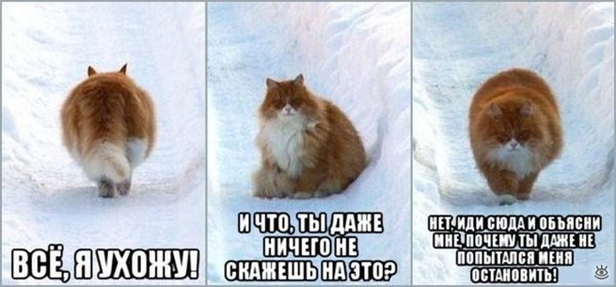 Фотографические прикольности 36