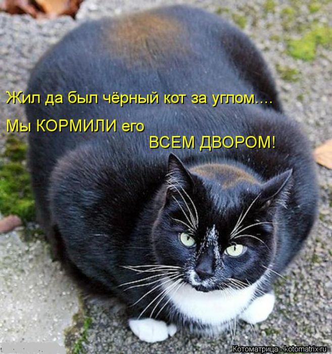   ... !