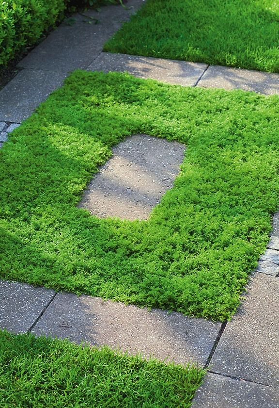 ������� � �������. ����: Marion Nickig