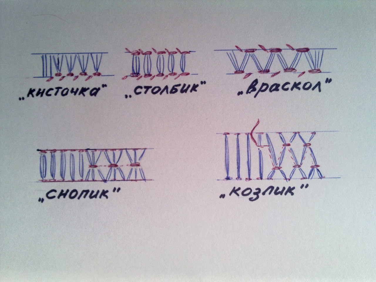 Крестообразный шов козлик