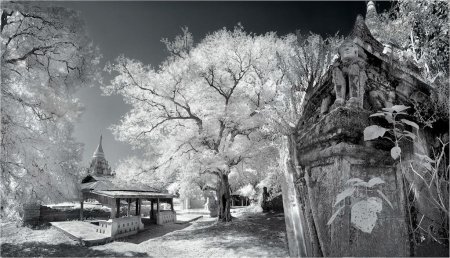  Прекрасные фотографии со всего мира. 