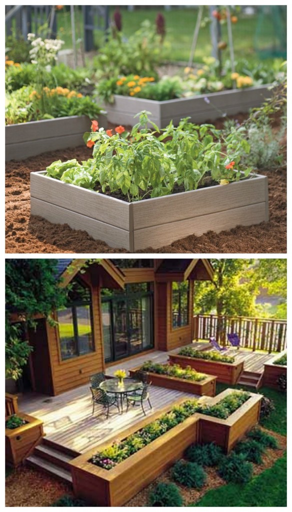 diy-raised-garden-584x1024