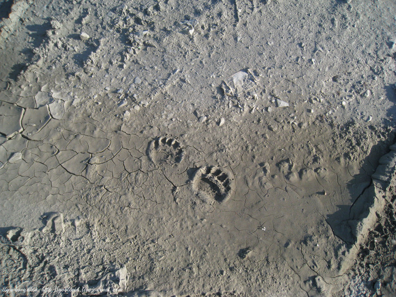 ������ �� �������� - ����� � ������ ������, ������, �������, �����������, ������