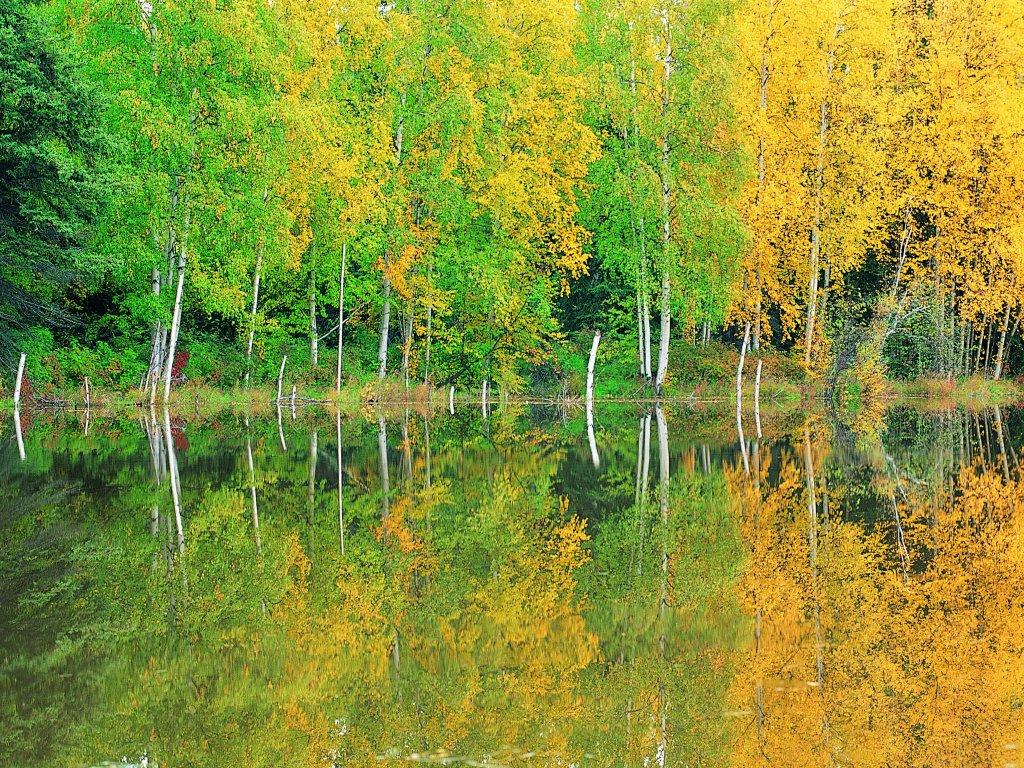 Просто красивые фото русской природы