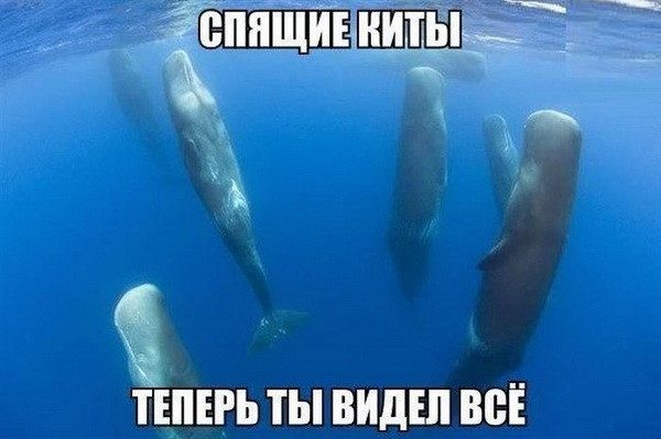 Теперь ты видел все