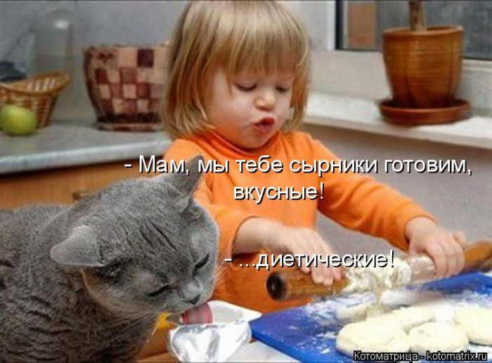 Лучшие котоматрицы недели (50 фото)