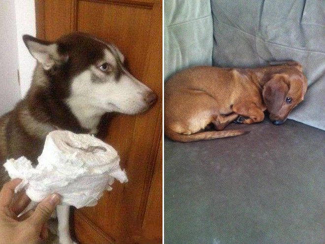 Поймали с поличным